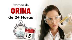 Orina 24H